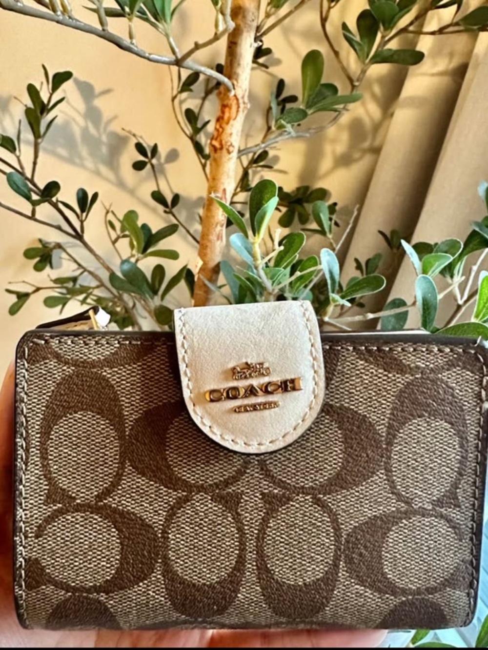 Coach Signature Canvas Wallet in Brown with Cream Snap
